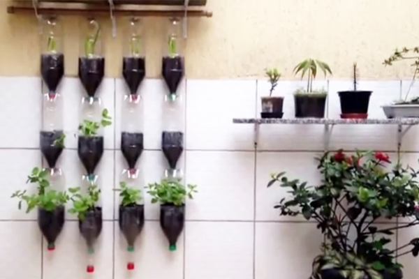 ویدیو: باغ پلاستیکی