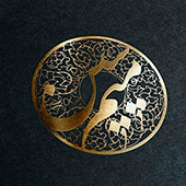  میم سین