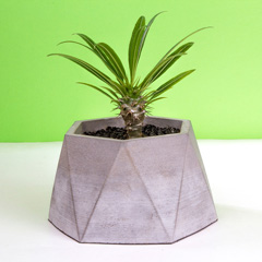 گلدان سنگی طوسی دستساز سفارشی کد Dco1