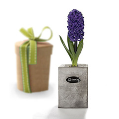  گلدان سنگی سفارشی دستساز سفارشی کد Dco4